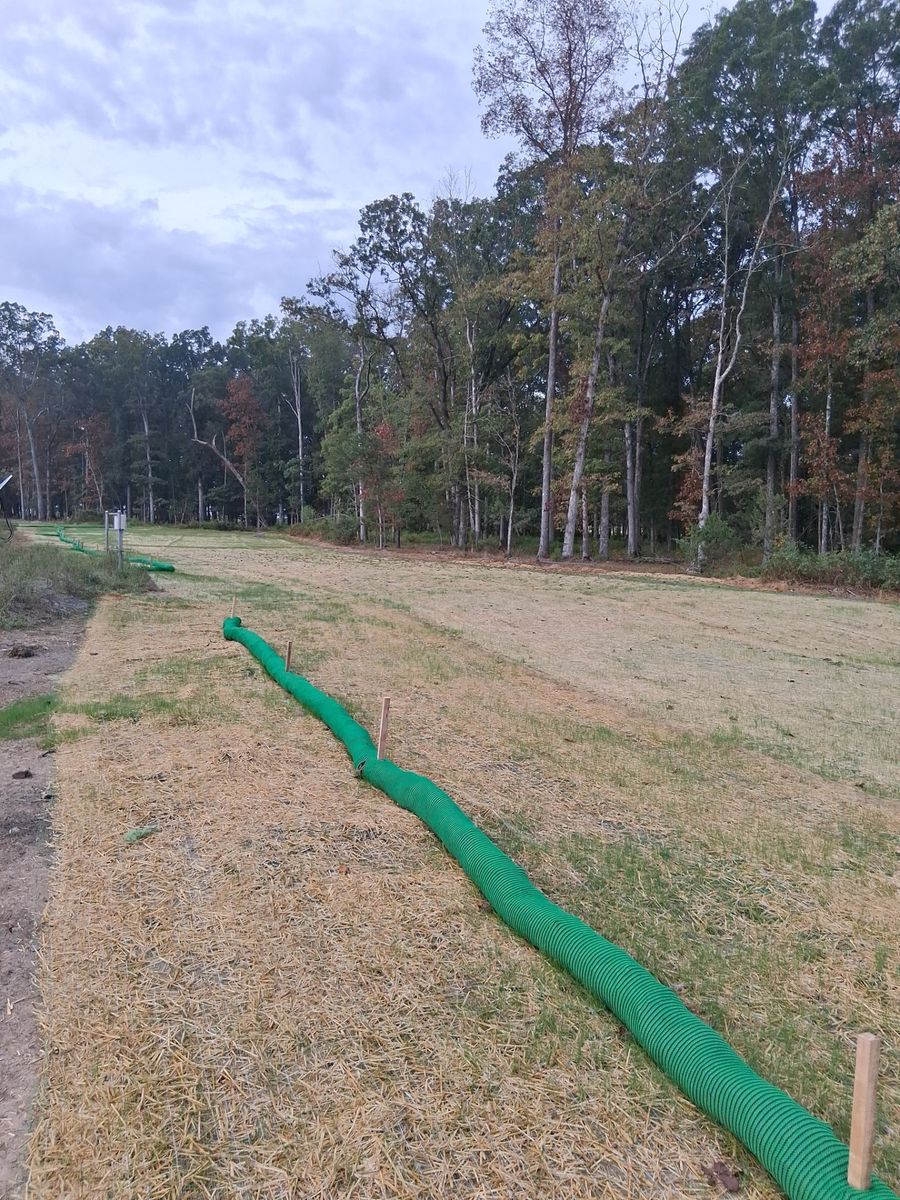 Green compost filter sock installed across a stabilized slope
